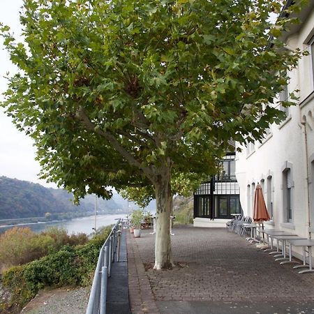 CVJM-Elsenburg Gästehaus Kaub Exterior foto